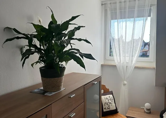 Gemuetlich Modern Daire Langenzenn